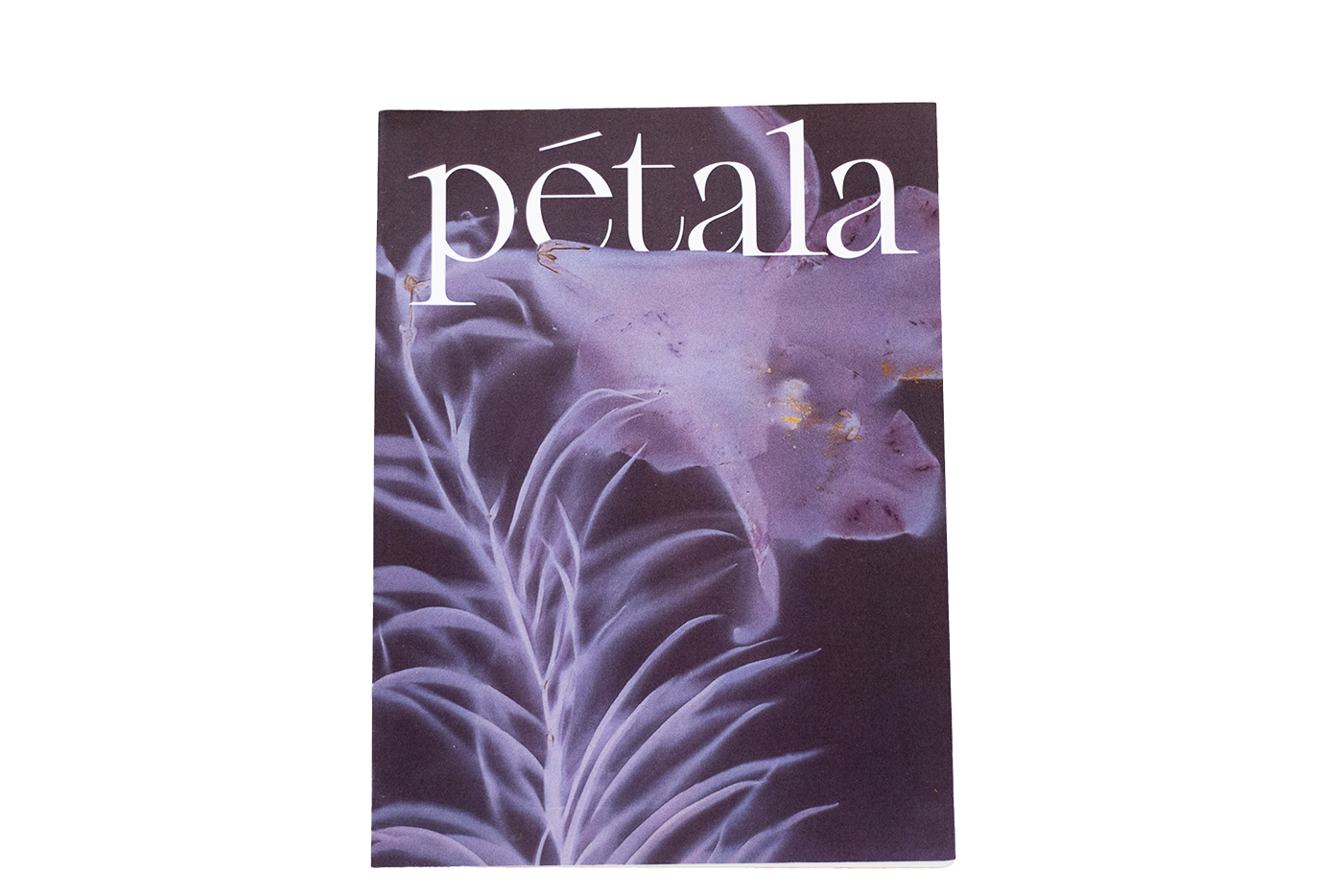 Fruta Magazine Cover